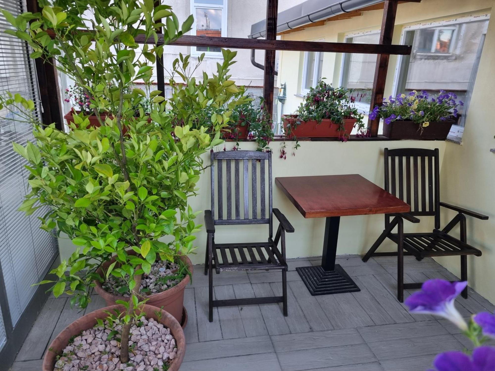Apartments Fazarinc S Parkiriscem Цельє Екстер'єр фото